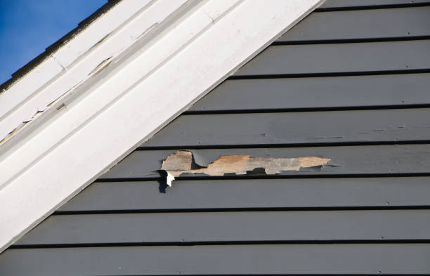 Best Wood Siding Installation  in Bellemont, AZ