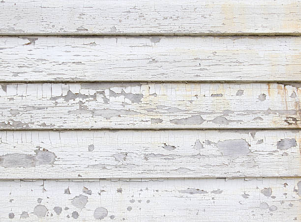 Best Engineered Wood Siding  in Bellemont, AZ