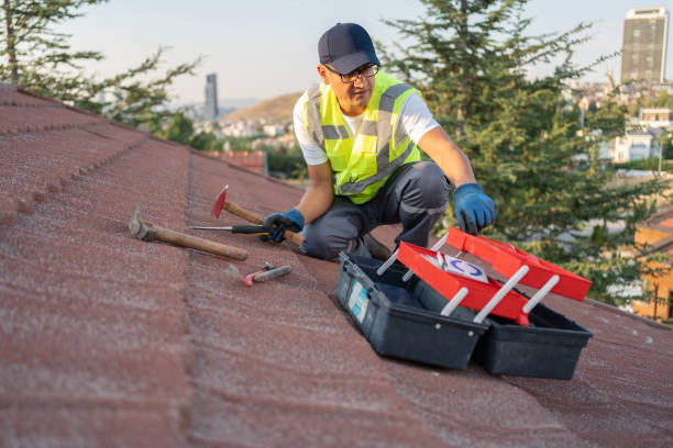 Best Insulated Siding Installation  in Bellemont, AZ