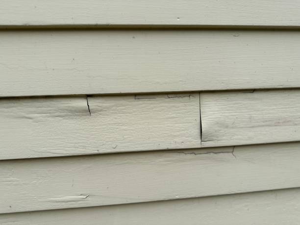 Best Siding for Multi-Family Homes  in Bellemont, AZ